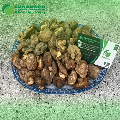 Nấm đông cô tươi được tuyển chọn kỹ lưỡng tại THAPHACO