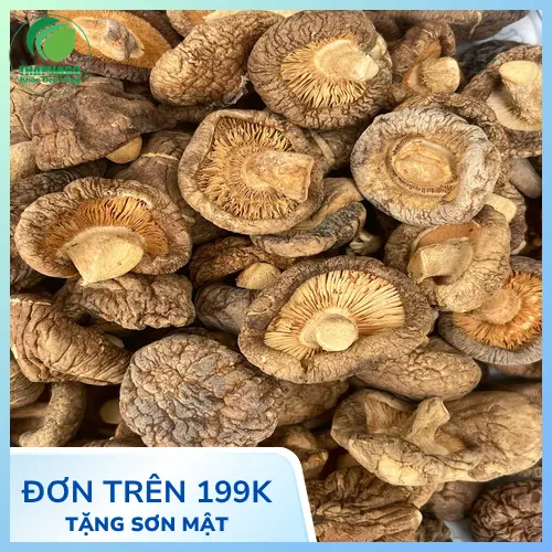 Lưu ý khi dùng nấm đông cô