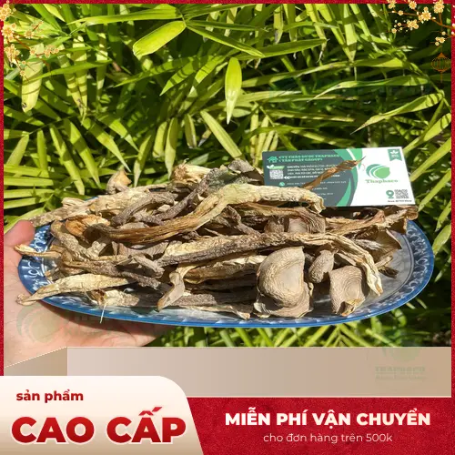 Nấm lộc nhung tươi nguyên búp, màu trắng ngà, thân chắc