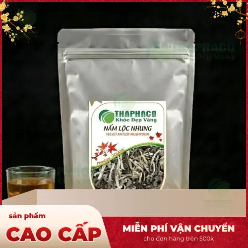 Nấm lộc nhung và cách sơ chế
