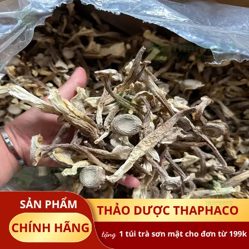 Nấm lộc nhung tươi