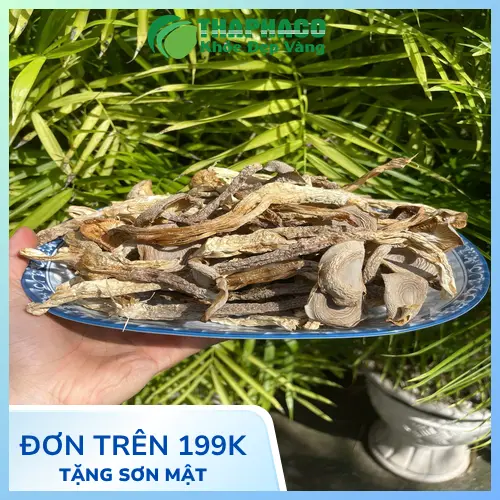 Cách sơ chế nấm lộc nhung tươi