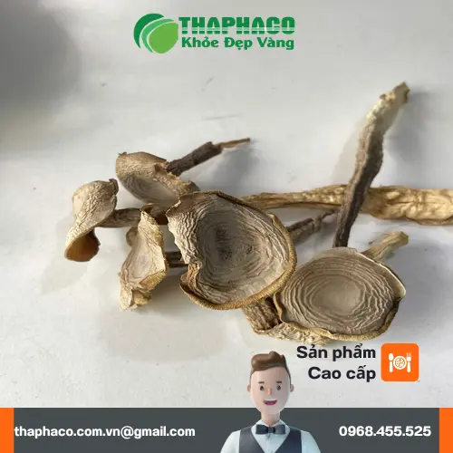 Nấm lộc nhung khô