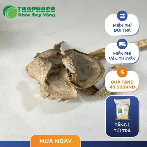Món chay chế biến từ nấm lộc nhung