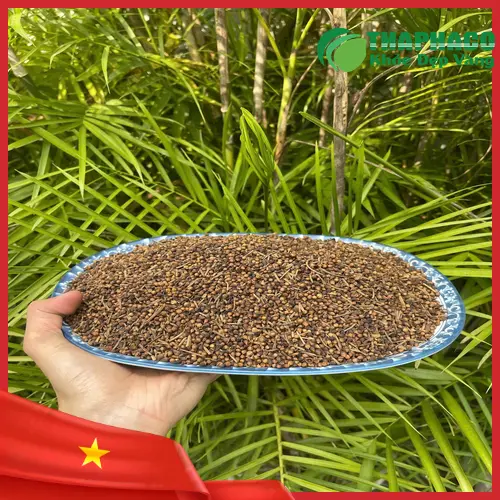 Hình ảnh các lợi ích sức khỏe của trà nụ vối được minh họa bằng các biểu tượng nhỏ xung quanh tách trà.