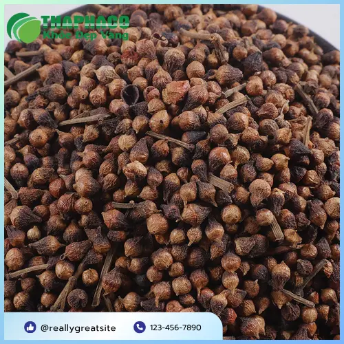 Hình ảnh một người phụ nữ đang ngửi mùi thơm từ tách trà nụ vối, gợi lên sự thư thái.