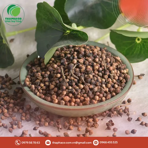 THAPHACO - Địa chỉ cung cấp Nụ Vối khô uy tín tại TP.HCM