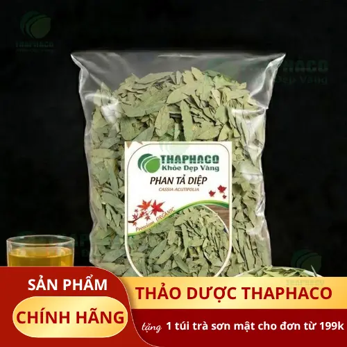 Phan Tả Diệp là gì