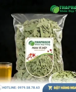 Phan Tả Diệp Sấy Khô 1kg - Giá Sỉ Tốt Nhất THAPHACO