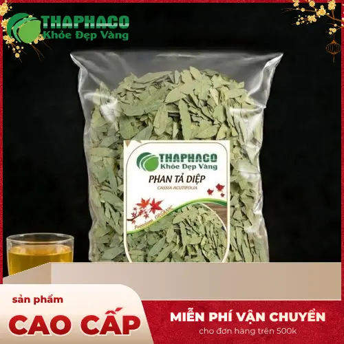 Hình ảnh Phan Tả Diệp - dược liệu tự nhiên hỗ trợ tiêu hóa