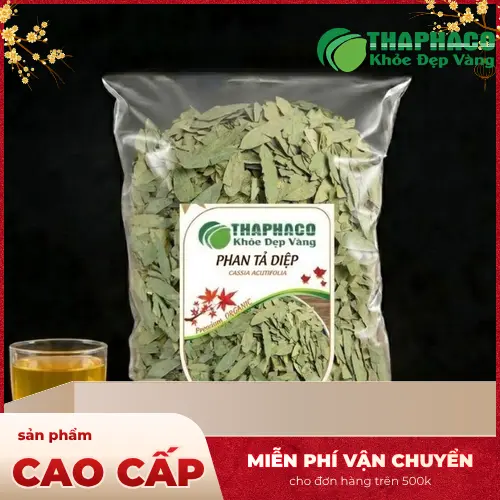 Phan Tả Diệp nguyên lá khô tự nhiên