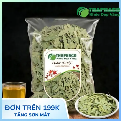 Hình ảnh cây Phan Tả Diệp