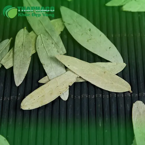 Quy trình chế biến và đóng gói Phan Tả Diệp khô tại THAPHACO