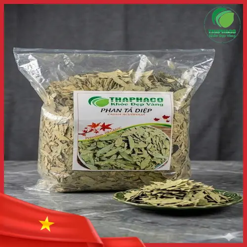 Lợi ích của Phan Tả Diệp trong hỗ trợ tiêu hóa