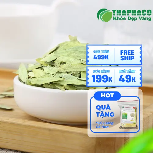 Phan Tả Diệp hỗ trợ cải thiện tình trạng táo bón