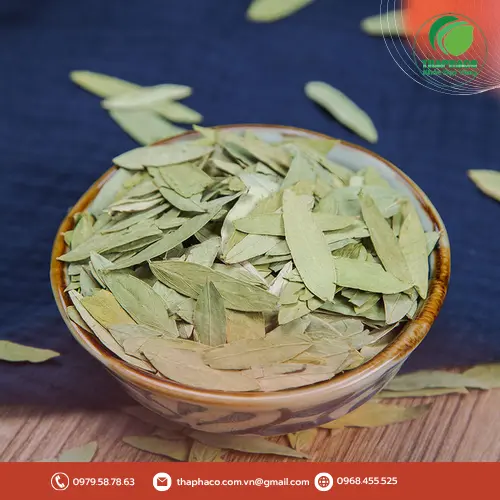 Phan Tả Diệp hỗ trợ tiêu hóa
