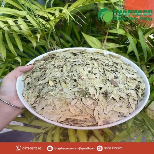 Đội ngũ THAPHACO tư vấn tận tâm về dược liệu