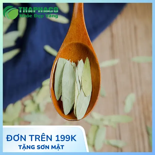 Lưu ý khi sử dụng Phan Tả Diệp