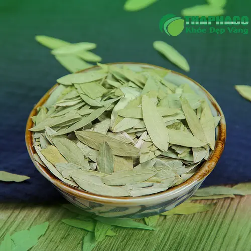 Địa chỉ mua Phan Tả Diệp uy tín THAPHACO