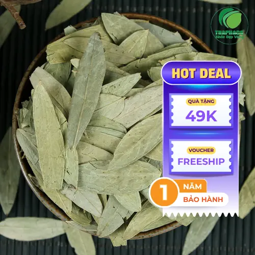 Lưu ý khi sử dụng Phan Tả Diệp an toàn