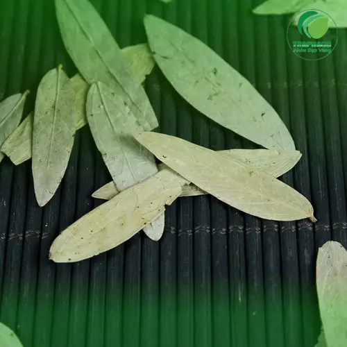 Mua Phan Tả Diệp tại THAPHACO