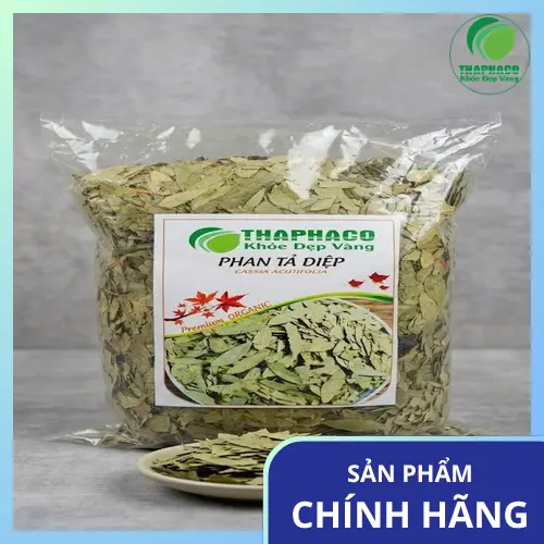 Túi Phan Tả Diệp Sấy Khô 1kg của THAPHACO