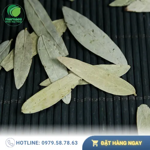 Phan Tả Diệp hỗ trợ tiêu hóa chứ không phải giảm cân