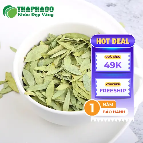 Thận trọng khi dùng Phan Tả Diệp