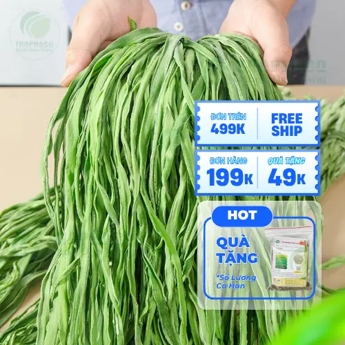 Độ giòn sần sật của rau tiến vua