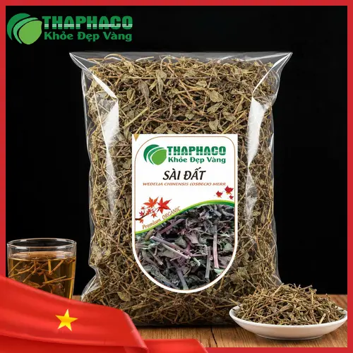 Hình ảnh cây Sài Đất tươi