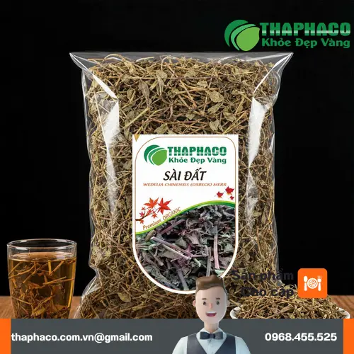 Cây Sài Đất tươi và khô