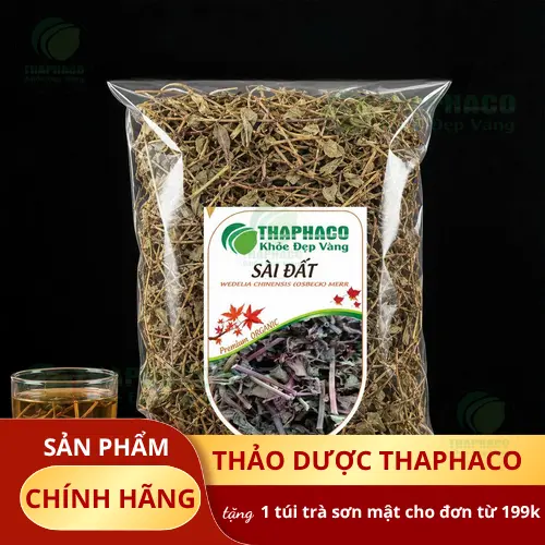 Cây Sài Đất tươi tự nhiên
