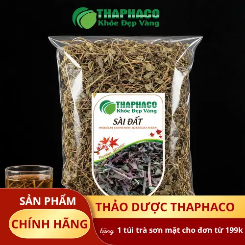 Hình ảnh cây Sài Đất tươi