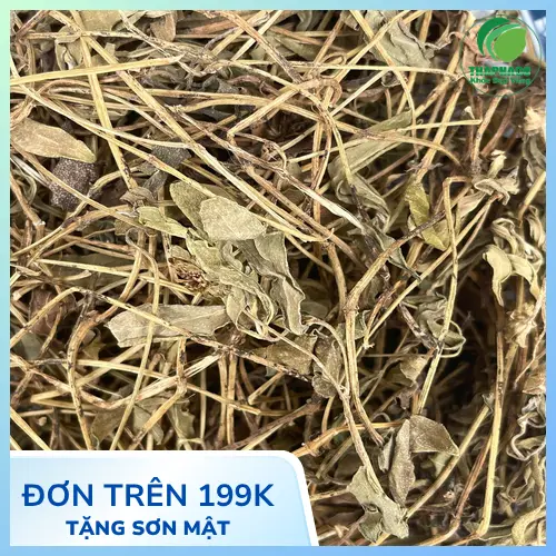 Phụ nữ mang thai và trẻ nhỏ cần thận trọng khi dùng Sài Đất