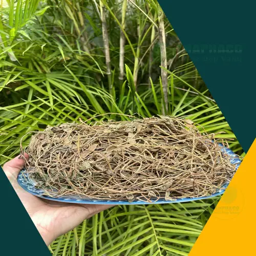 Hình ảnh sắc nước Sài Đất