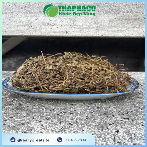 Người có bệnh nền và dùng thuốc tây cần hỏi ý kiến bác sĩ