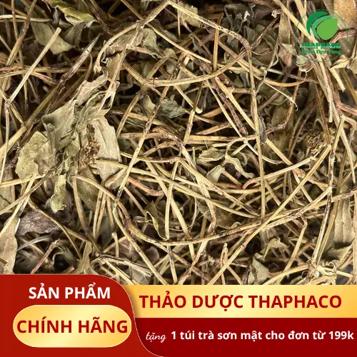 Sài đất khô được phơi sấy tự nhiên tại THAPHACO