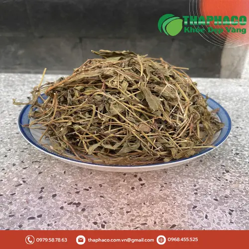 Sài Đất khô dùng để nấu nước