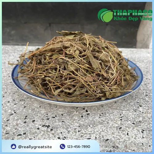 Hình ảnh gói Sài Đất khô chất lượng