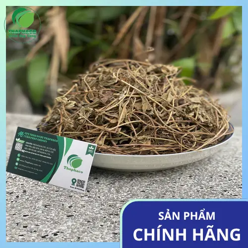 Lá Sài Đất sấy khô chất lượng tại THAPHACO