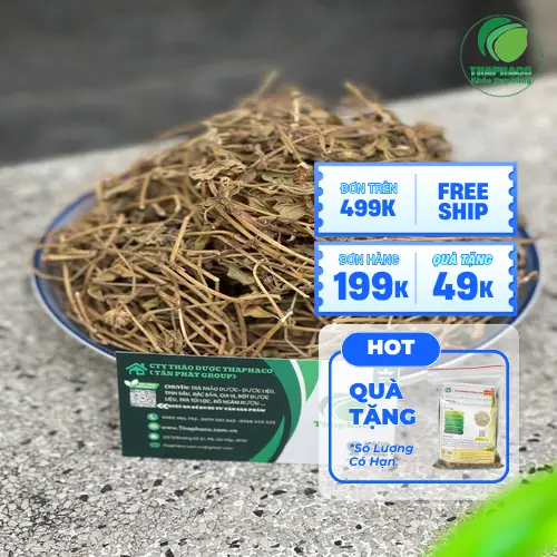 Lưu ý khi dùng nước Sài Đất