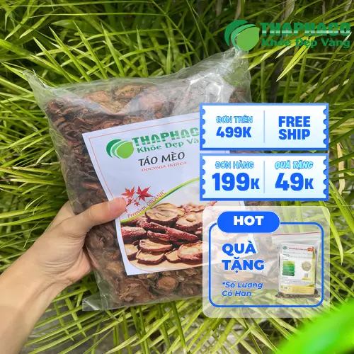 Công dụng hỗ trợ tiêu hóa và giảm mỡ máu của Táo Mèo Sấy Khô