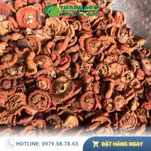 Giá bán Táo Mèo Sấy Khô 1kg và 500g tại THAPHACO