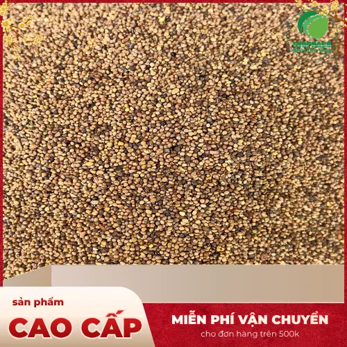 Hạt Thỏ Ty Tử
