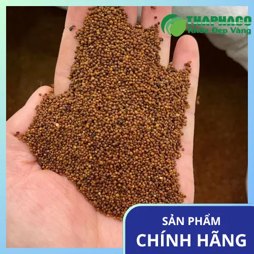 Công dụng hỗ trợ của Thỏ Ty Tử khô theo Y học cổ truyền