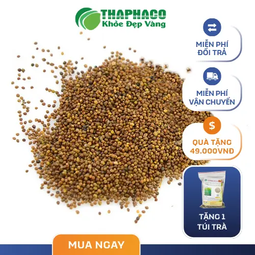 Hạt Thỏ Ty Tử ngâm nước