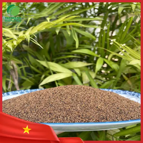 Thỏ Ty Tử khô tại THAPHACO
