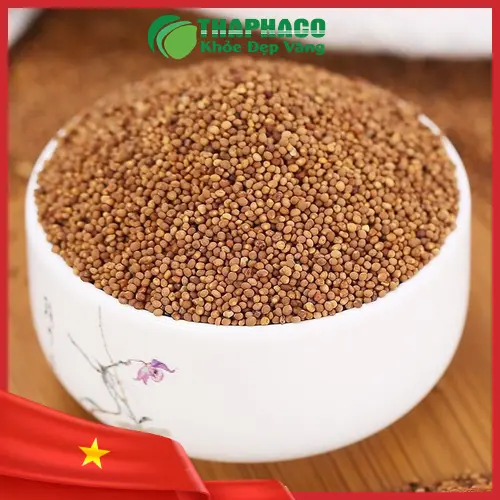 Cách dùng Thỏ Ty Tử