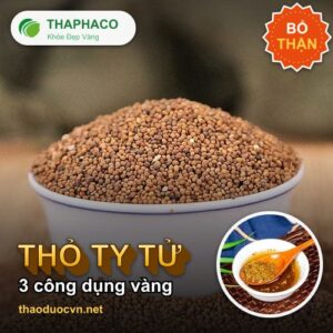 Thỏ ty tử - 3 Công Dụng Của Thỏ Ty Tử Không Thể Bỏ Qua