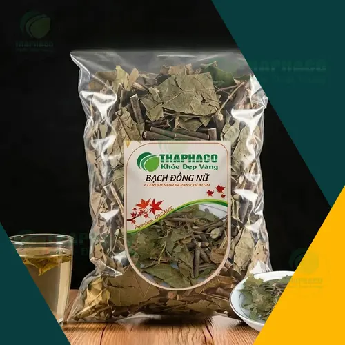 Cây Bạch Đồng Nữ và đặc điểm thân lá